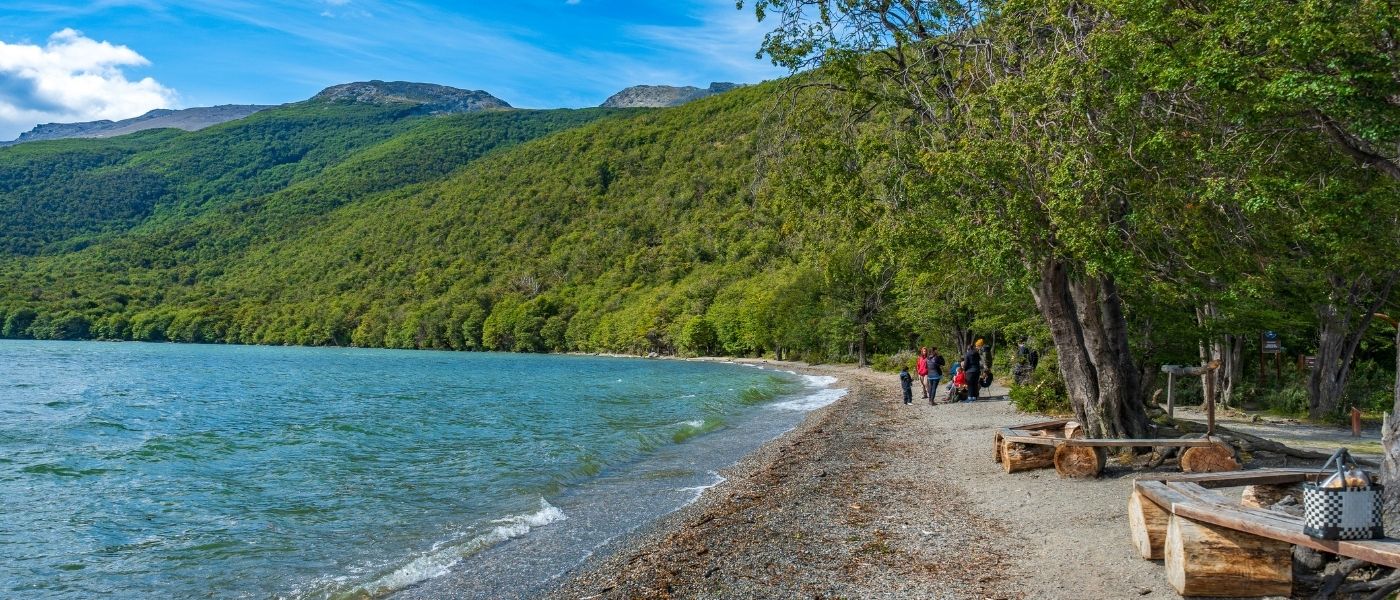Paisaje de verano en la costa del Lago Roca (Acigami), Parque Nacional Tierra del Fuego, Ushuaia. Bancos de troncos en primer plano y un denso bosque de lengas verde cubriendo las montañas bajo un cielo azul con nubes.