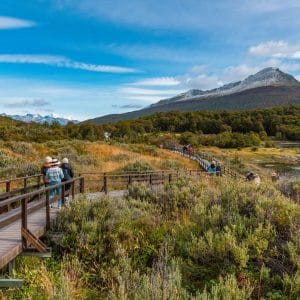 Turistas caminando por las pasarelas de madera en Bahía Lapataia, rodeados de vegetación autóctona y montañas nevadas en el Parque Nacional Tierra del Fuego, Ushuaia.