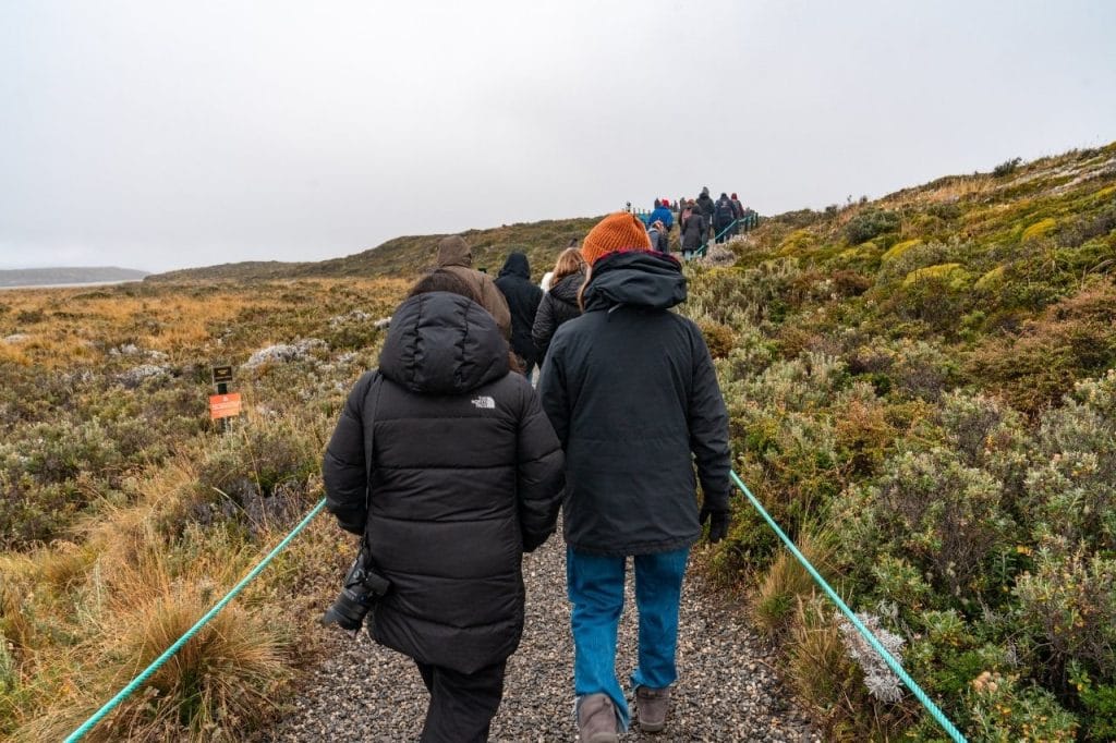 Caminata guiada por senderos de trekking autorizados en las Islas Bridges, Canal Beagle.