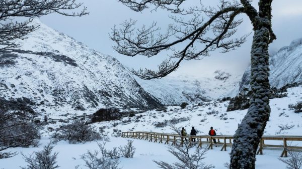 Sendero nevado hacia Laguna Esmeralda Ushuaia