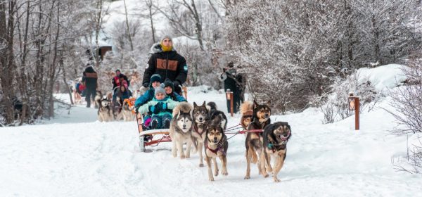 Un trineo de madera tirado por una jauría de seis perros husky avanza por un camino cubierto de nieve. Dos adultos y un niño están sentados en el trineo, vistiendo chaquetas de invierno de color azul turquesa. Al fondo hay un bosque nevado y otro trineo con más personas.