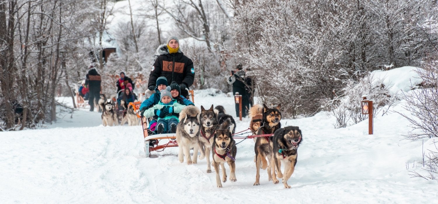 Un trineo de madera tirado por una jauría de seis perros husky avanza por un camino cubierto de nieve. Dos adultos y un niño están sentados en el trineo, vistiendo chaquetas de invierno de color azul turquesa. Al fondo hay un bosque nevado y otro trineo con más personas.