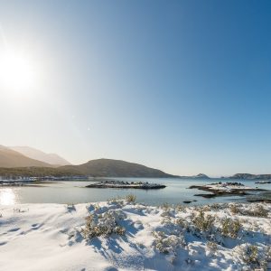 Paisaje soleado de Bahía Lapataia en invierno, con el mar en calma, montañas nevadas y la costa cubierta de nieve bajo un cielo azul despejado.