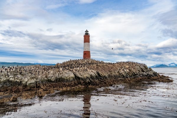 Faro Les Eclaireurs en isla rocosa del Canal Beagle, rodeado de aves marinas con montañas nevadas al fondo.