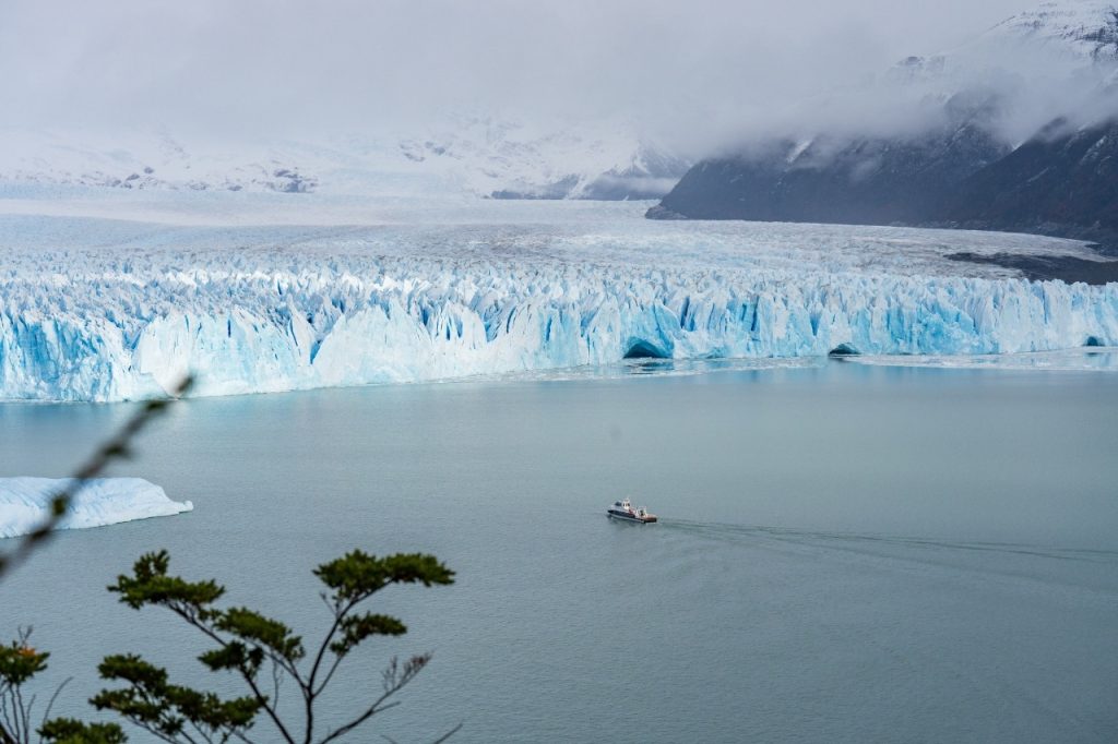 Panorámica elevada del Glaciar Perito Moreno y un barco navegando a la distancia, enmarcado por ramas de árboles nativos.