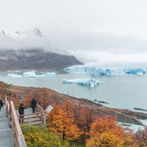 PAQUETE FULL EL CALAFATE